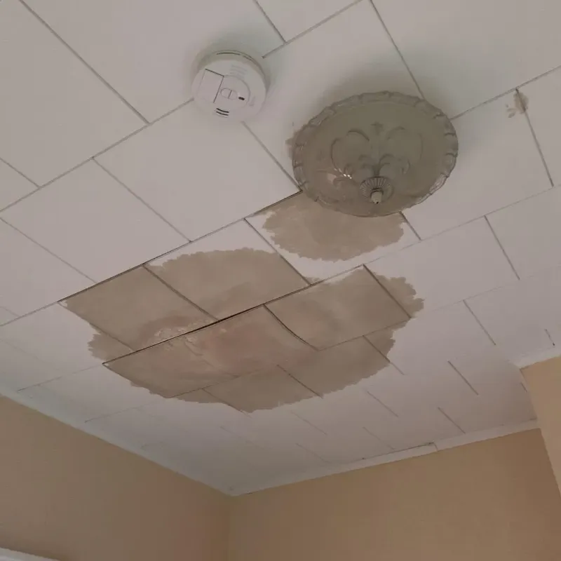 Ceiling Water Damage Repair in Paulina, LA